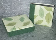 Albums & Guestbooks